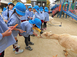 一日動物村